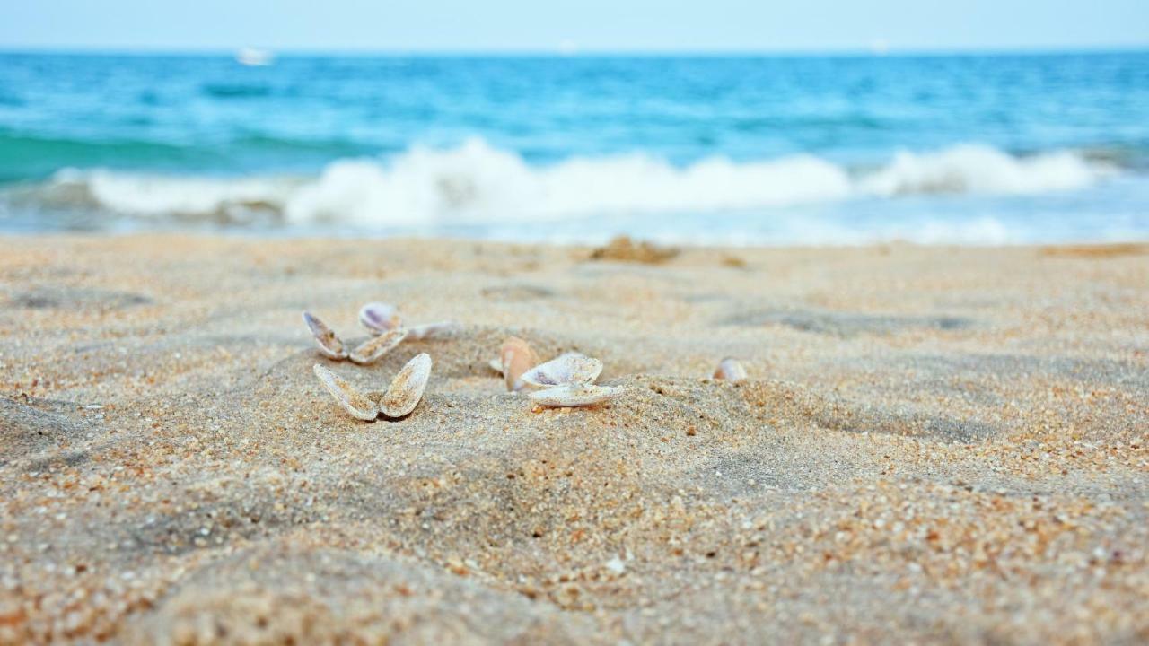 Melheim Beach Kalpitiya Eksteriør billede